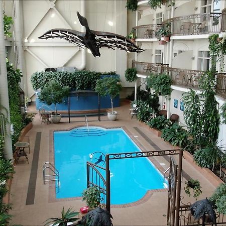 Hotel L'Oie Des Neiges Lévis Esterno foto