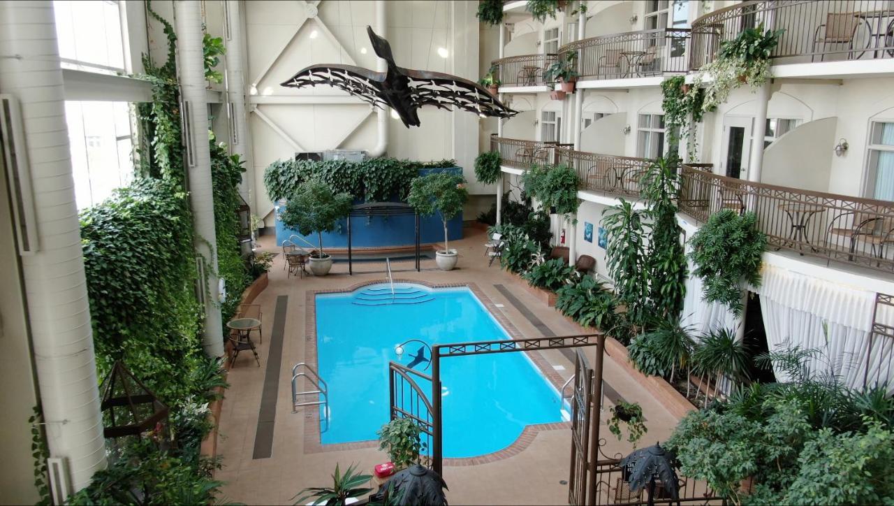 Hotel L'Oie Des Neiges Lévis Esterno foto