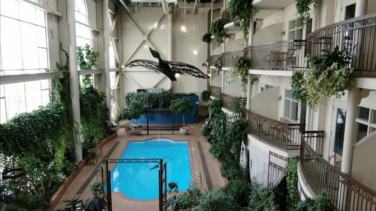 Hotel L'Oie Des Neiges Lévis Esterno foto