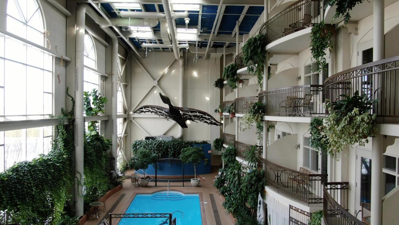 Hotel L'Oie Des Neiges Lévis Esterno foto