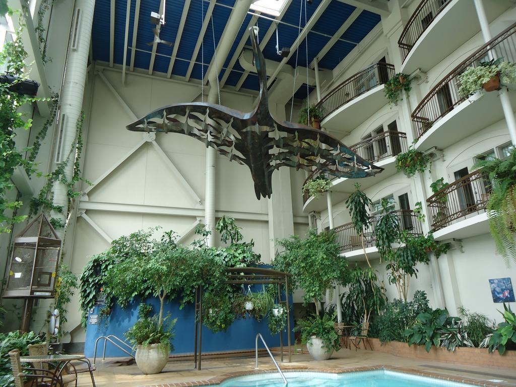 Hotel L'Oie Des Neiges Lévis Esterno foto